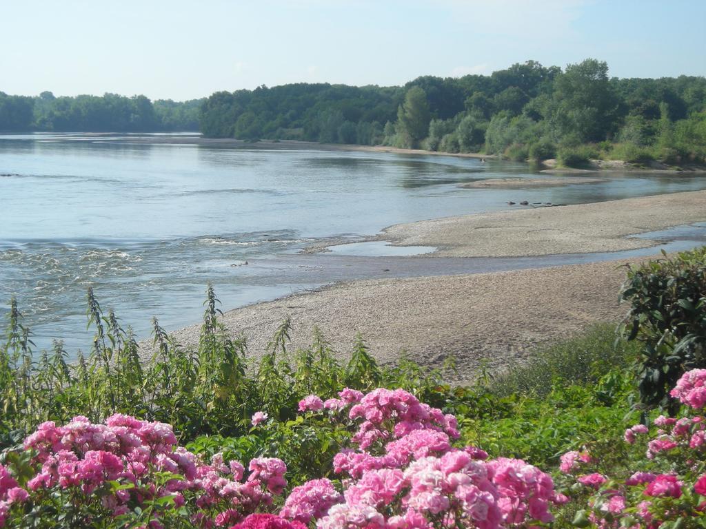 Hotel De La Loire Saint-Satur Esterno foto