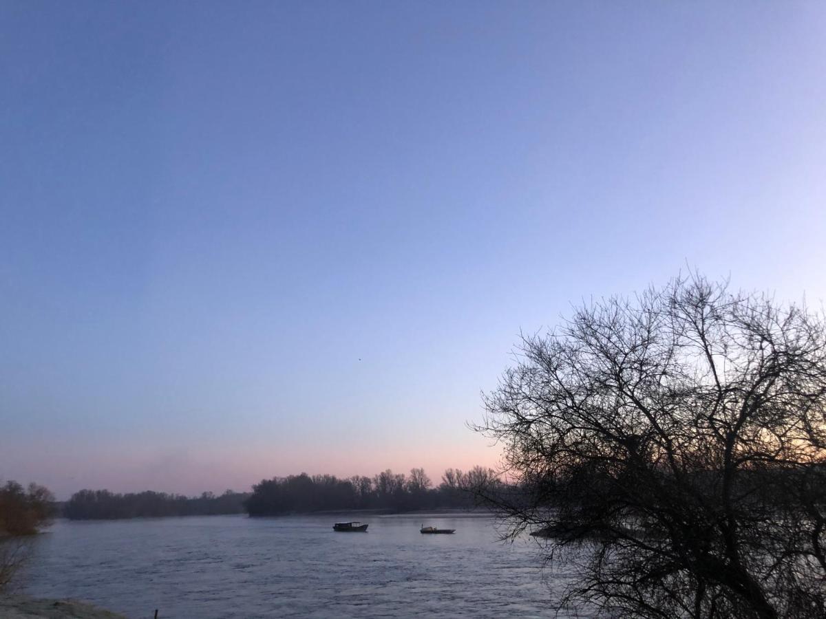 Hotel De La Loire Saint-Satur Esterno foto